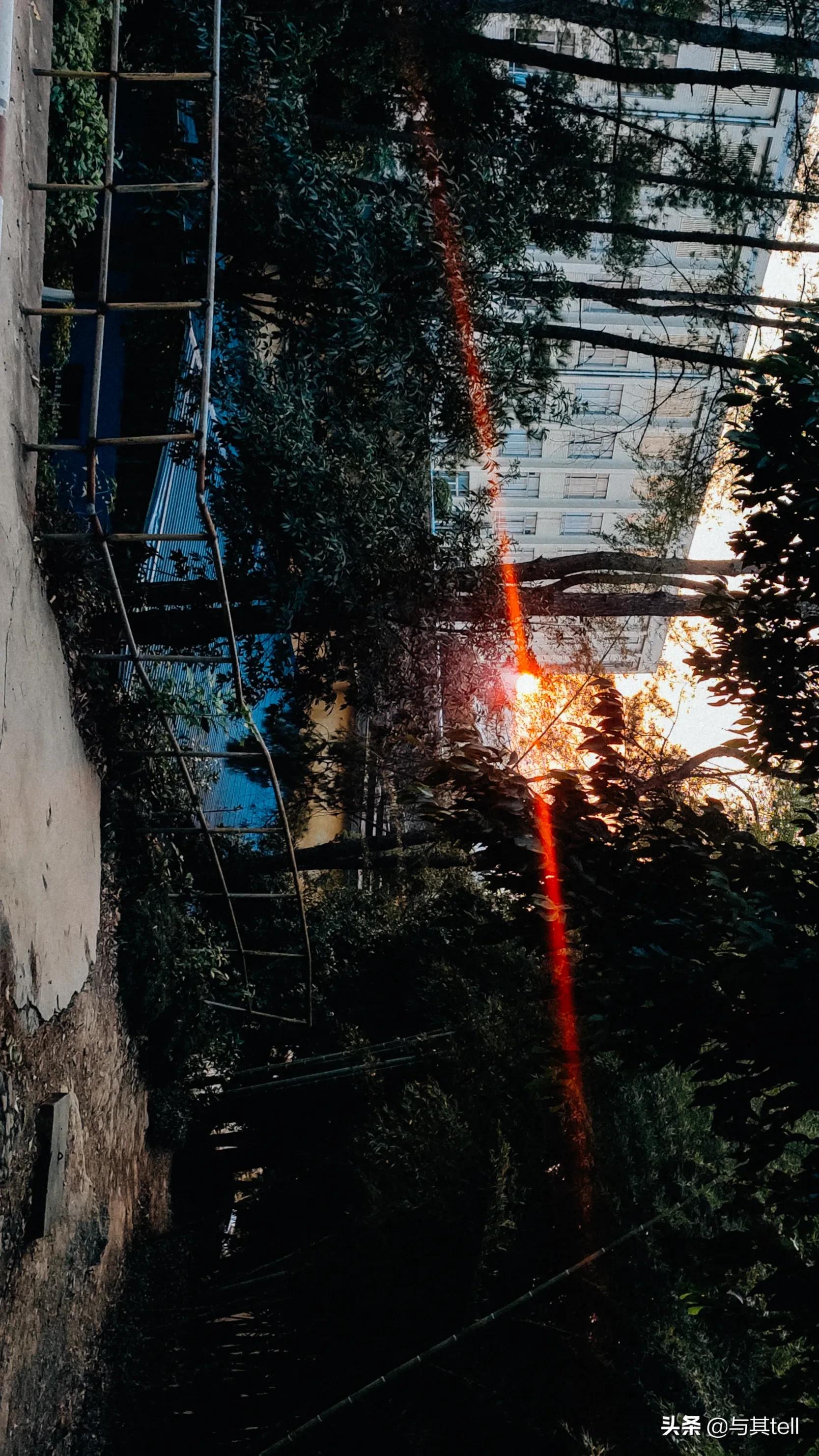 广东松山职业技术学院冬天,广东松山职业技术学院最近视频