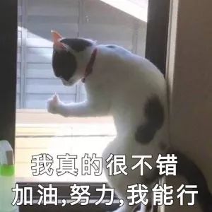 猪年适合做生意吗,猪年适合做什么行业