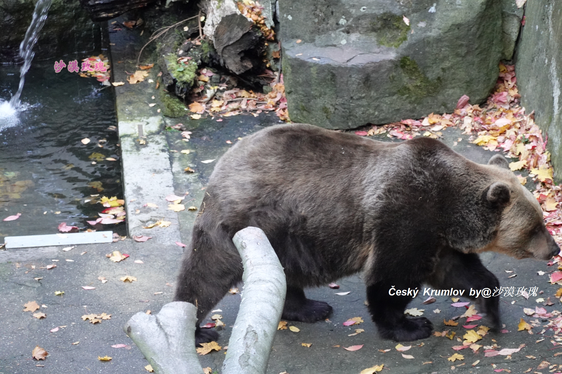 捷克最美城堡在哪,捷克最美小镇视频