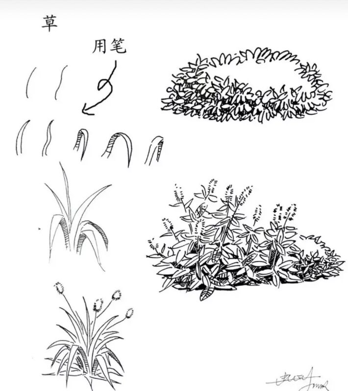 入门风景速写1000例临摹图,风景速写教你超简单的树木画法