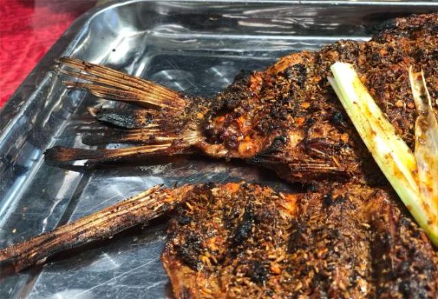 钓钓鱼，喝喝茶，聊聊人生，才是生活，西安市蓝田蓬莱渔村生态园