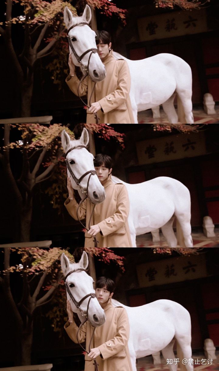 肖战是什么样的人知乎,肖战会娶什么样的人