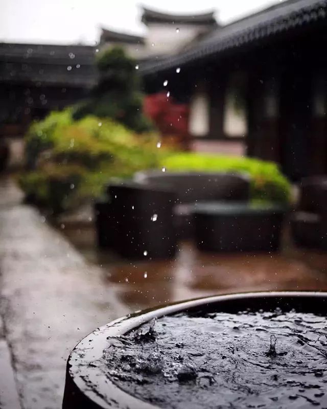 开元集团发展历史,开元集团的发展历程