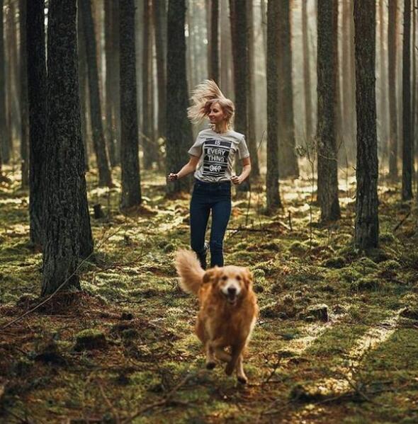 金毛犬咬人的原因及解决办法,人家说狗急了还会跳墙