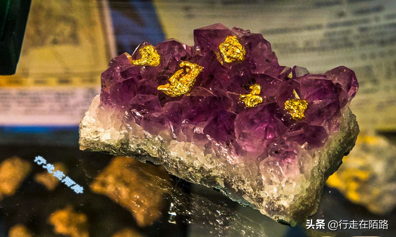 黄金之城马加丹:离最近城市2200公里,猛犸象牙按公斤卖