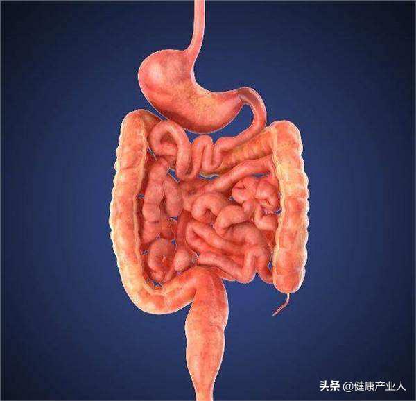 几天不排的大便去哪了?快速排出宿便只需简单一步