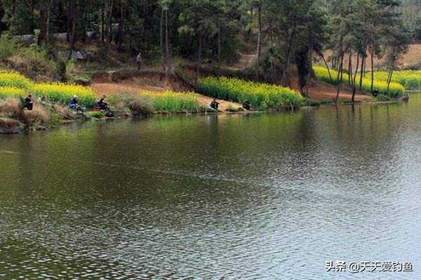 钓鱼技巧：钓鱼遇上刮风天，经验告诉你，这些风向鱼情更好