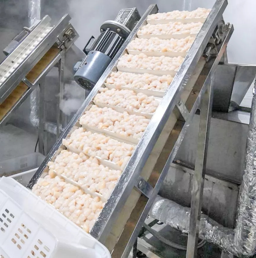 干贝柱怎么吃效果最好,鲜干贝柱最正宗的做法