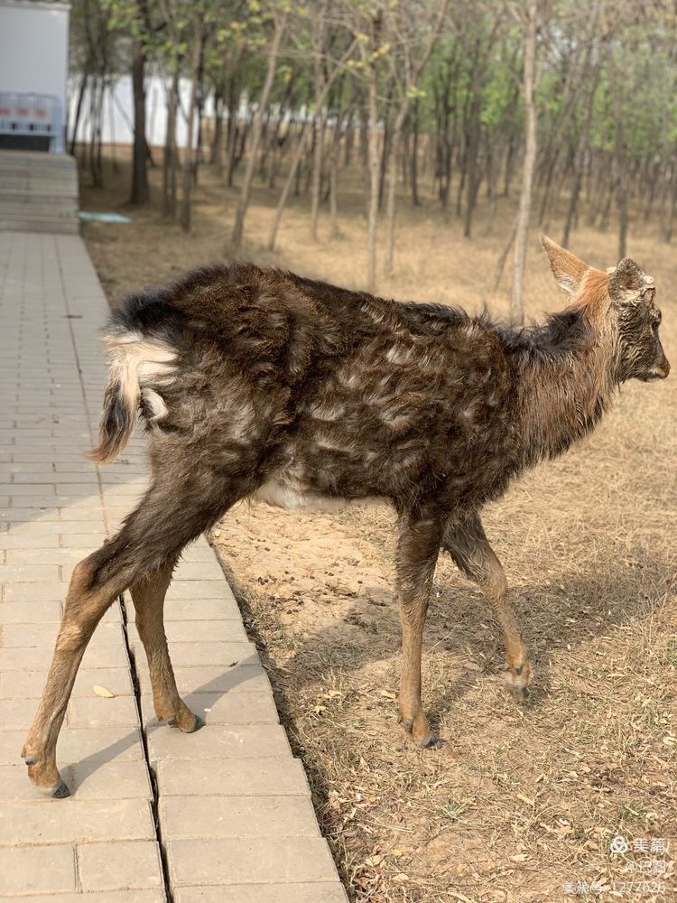 洛阳市宜阳凤凰岭射箭,宜阳县凤凰岭体育基地