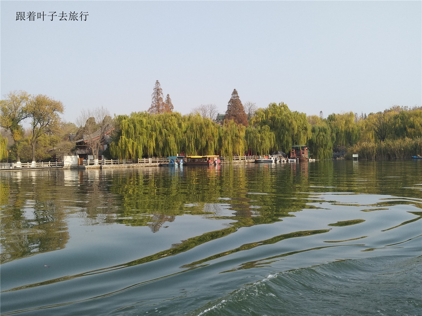 大明湖畔南丰祠雨荷厅前的荷花池,大明湖南丰祠的传说