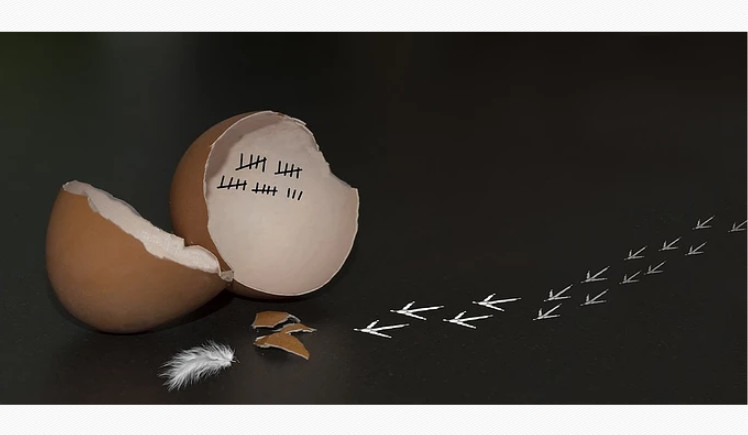 期货交易的真谛与长久生存法则,穷人思维阻碍你变富三个固有认知