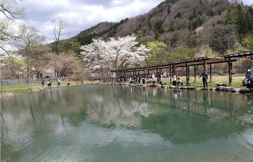 外国游客在日本钓鱼是一个什么样的体验?