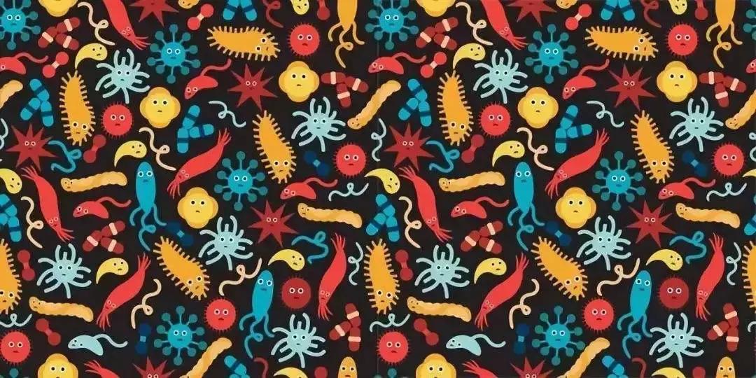 孕期压力大会影响孩子人格吗,孕早期吃益生菌会导致胎儿畸形吗