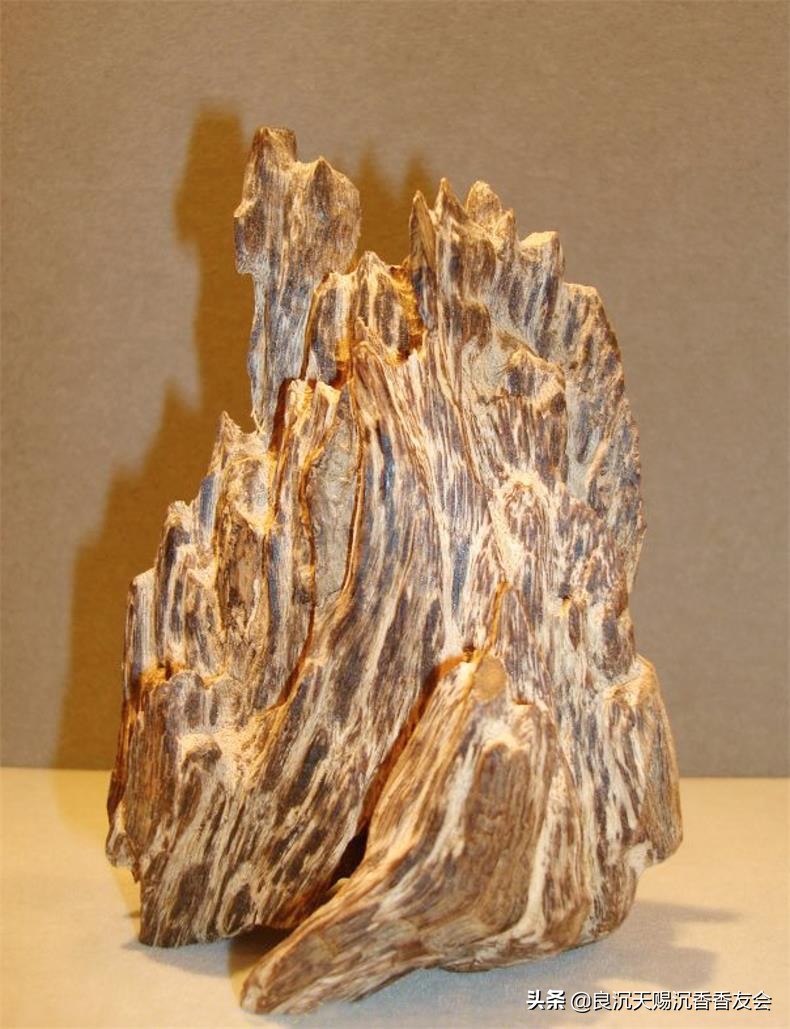 越南最好的沉香是什么,越南最好的沉香叫什么