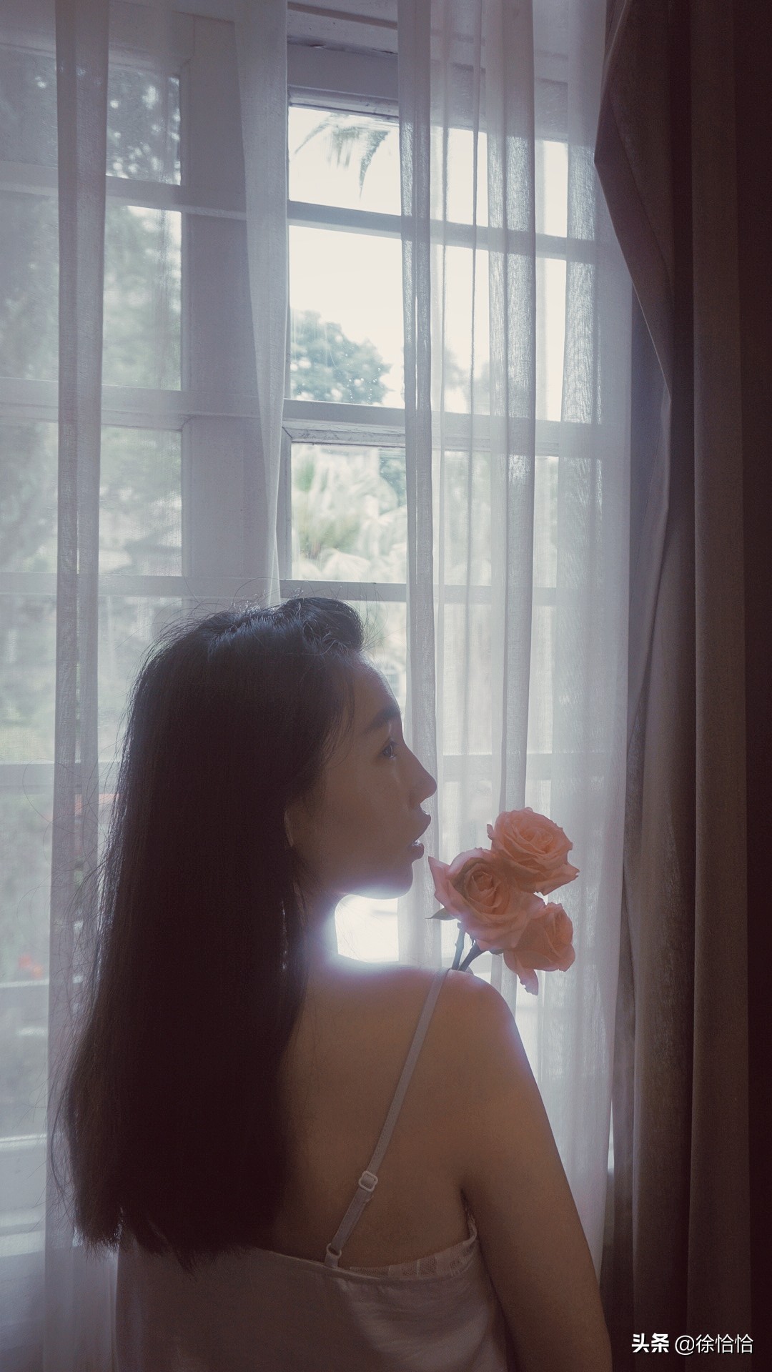 厦门鼓浪屿酒店价格多少钱,厦门鼓浪屿酒店性价比推荐