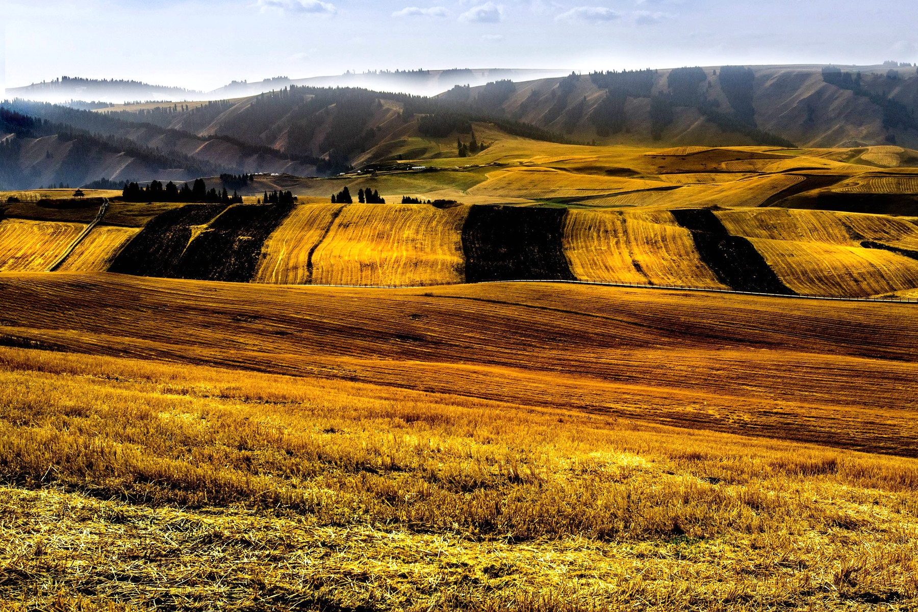澶╁北楹︽捣,鏄熺┖涓嬬殑缁濈編绋荤敯姊甸珮