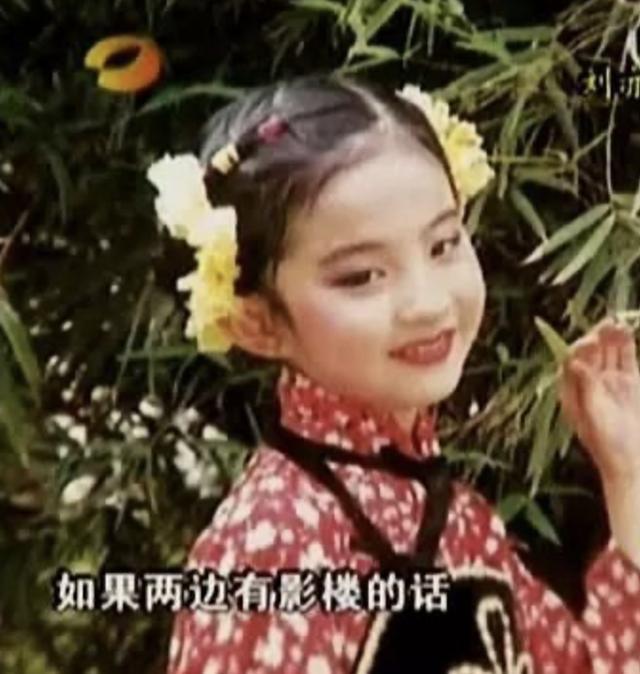 大美女刘晓莉：为了女儿刘亦菲，放弃了事业，丢掉了婚姻