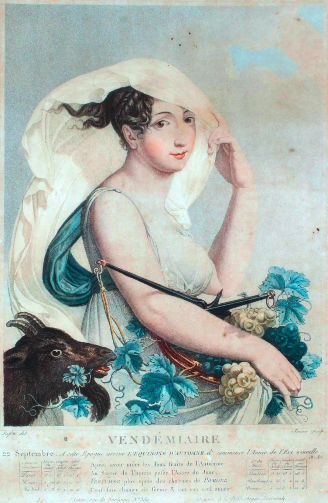 品乐Pinor：在法国葡萄园上班，就像在东北掰玉米……