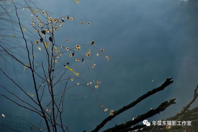 几年后有一种邀约叫：千岛为伴，鱼酒相随，我在天水曲溪等你