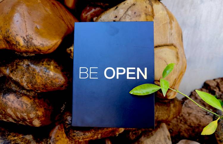 轻盈如风歌声如酒,海量无损绕梁不绝