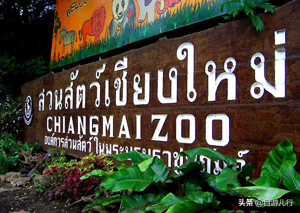 泰国清迈皇宫游玩攻略,泰国清迈旅游景点攻略大全