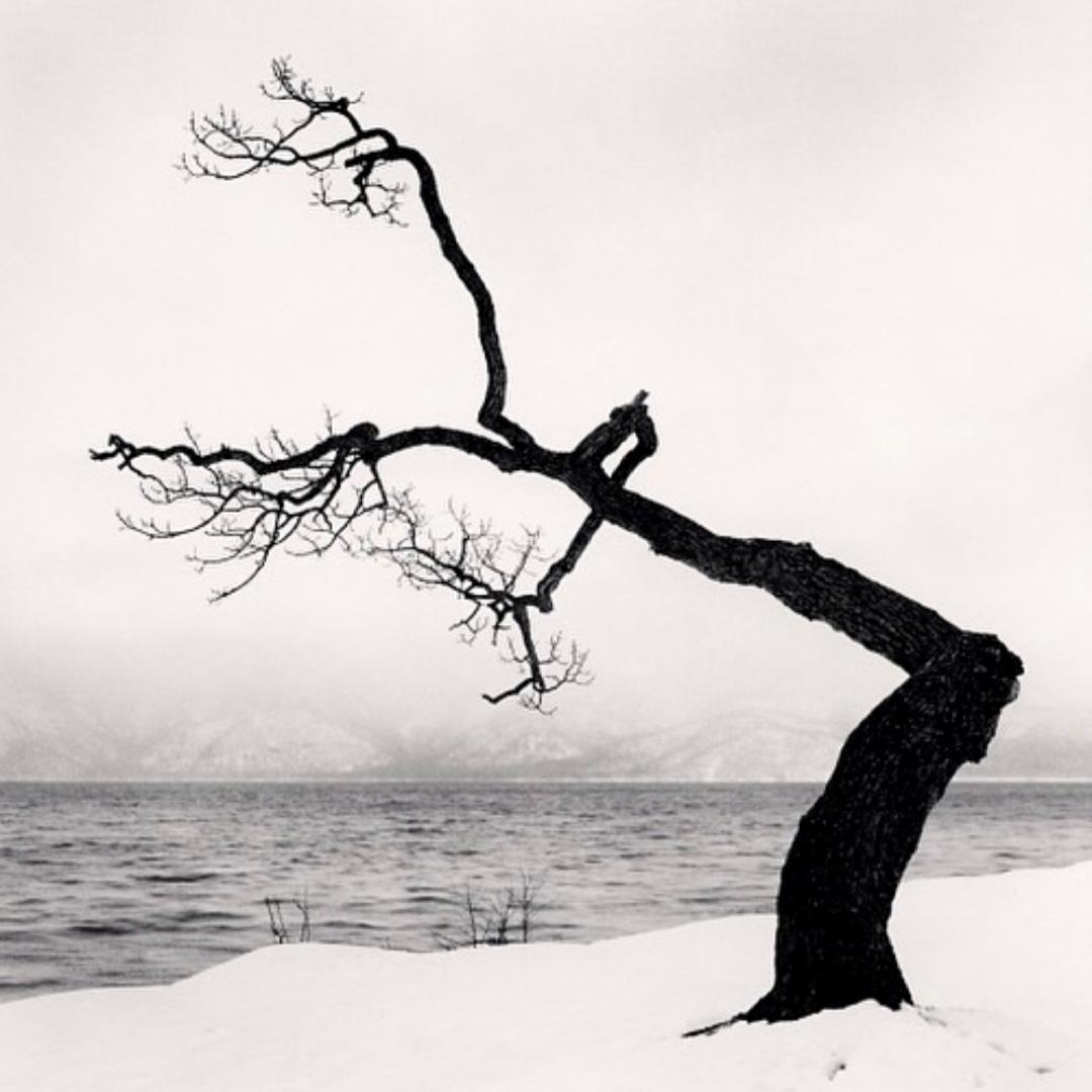 拍照教程教你如何拍出好看的照,教你4个技巧助你拍出光影美照