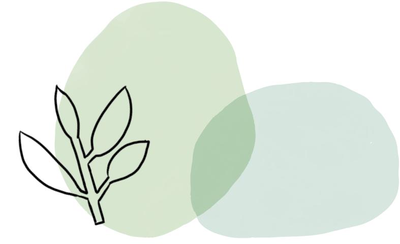 植库‖浪漫清新的小手球,为你带来氧气小森林