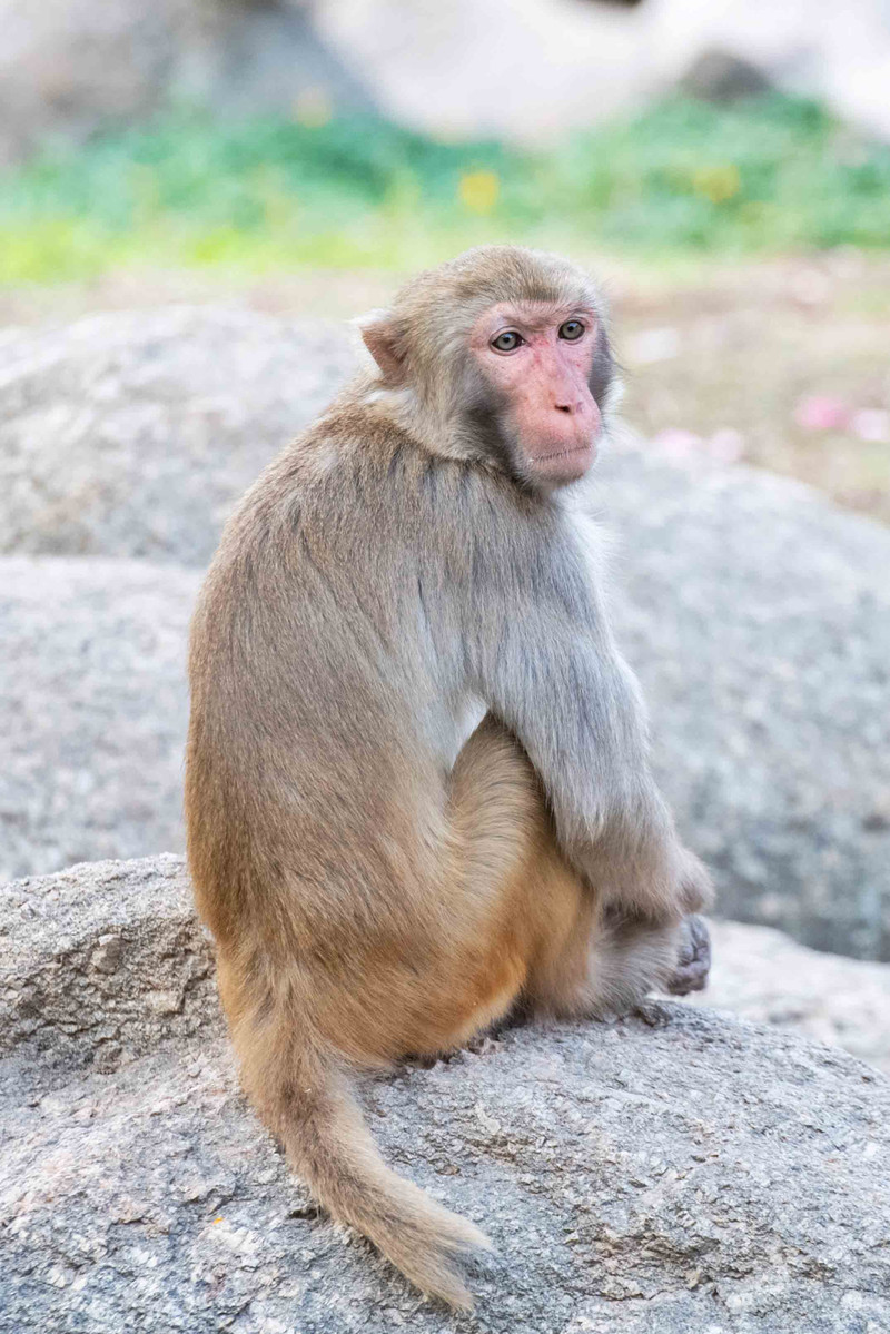寒假亲子游推荐广东,广东自驾亲子游十大排名