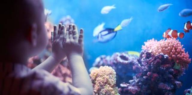 西安白鹿仓欢乐世界,西安曲江极地海洋馆旅游攻略