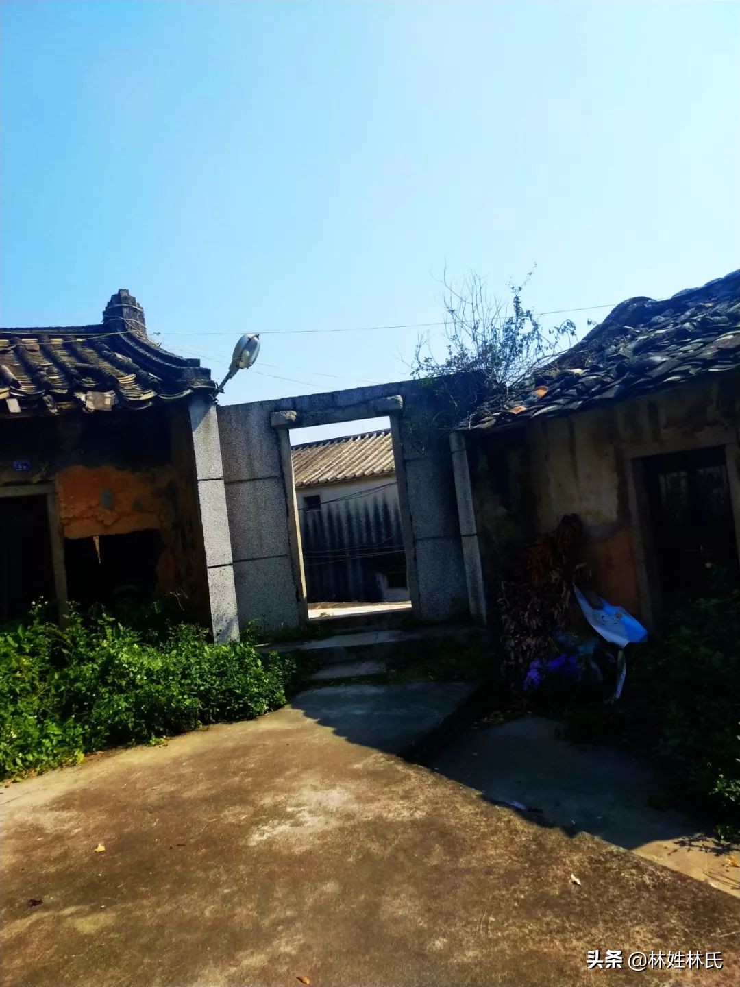 乌门楼│桐坑林氏始居地探源