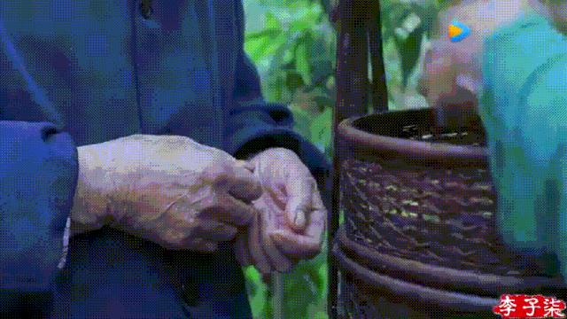 李子柒视频转场技巧,李子柒拍摄视频技巧