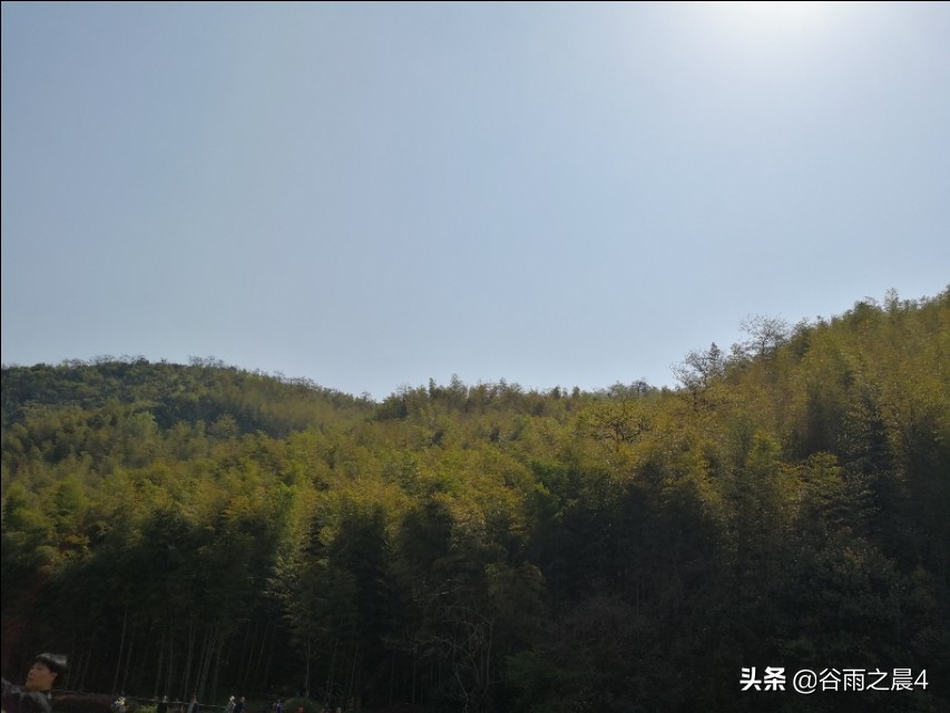 宜兴竹海徒步路线推荐,宜兴竹海最高海拔多少