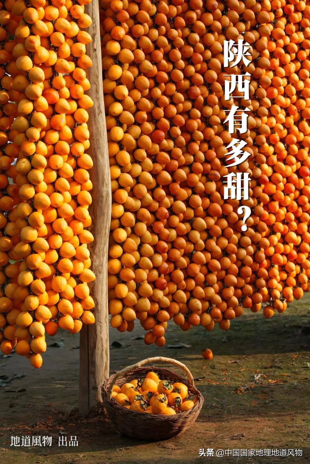 陕西水果第一大省有什么水果,陕西盛产水果吗