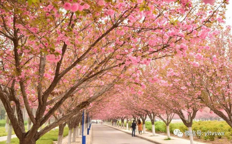 杨凌美丽的大都市,杨凌有没有安静的地方适合约会