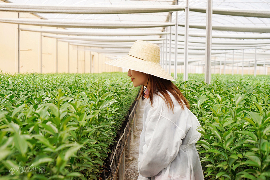 巴西像内马尔的人,巴西像