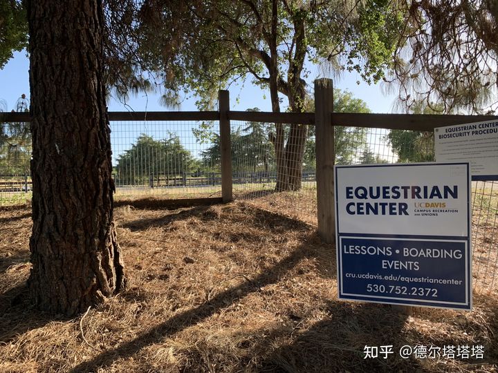 加州大学戴维斯分校和洛杉矶分校,加利福尼亚大学戴维斯分校qs