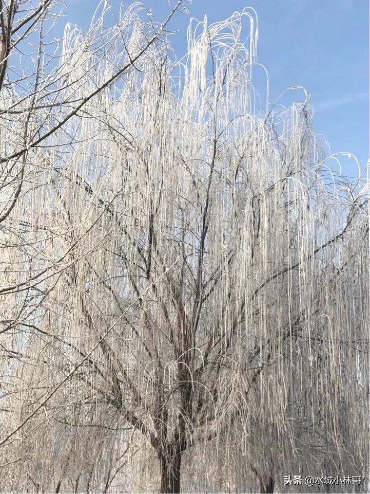 全国各地举报电话大全,你一定要记住的八个举报电话