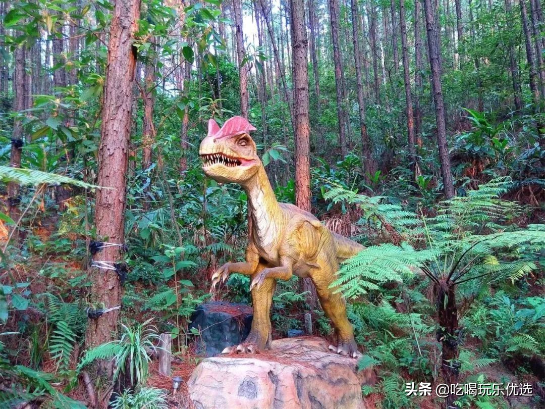 广东清远森波拉旅游度假区,清远森波拉度假区攻略