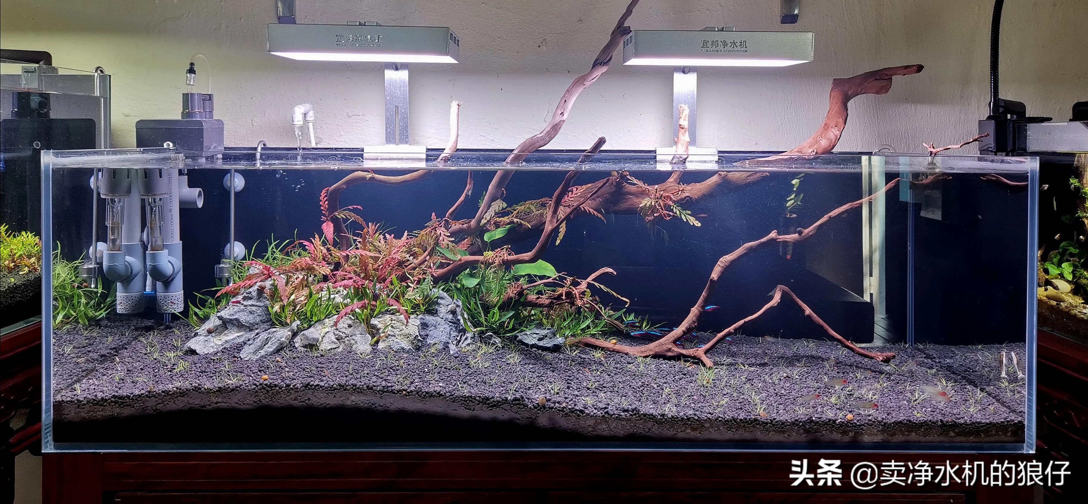 如何让小鱼缸变成空气缸,如何让鱼缸出现空气缸