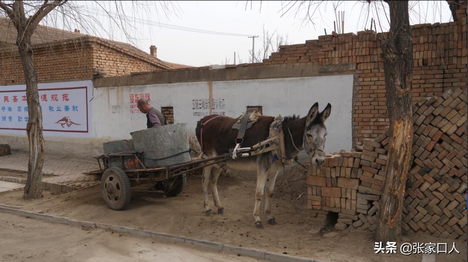 张家口各个县特色美食,张家口各县区的特色美食
