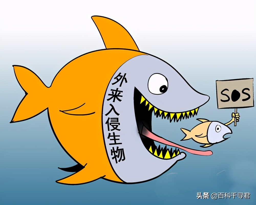 我国有哪些入侵物种及危害,中国754种入侵物种有哪些可以吃