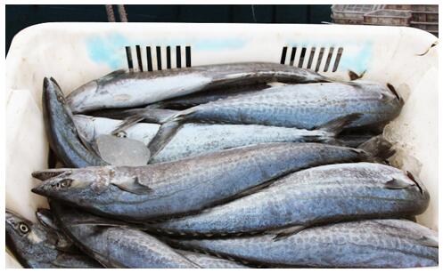 舟山海鲜年夜饭礼包,舟山黄鱼年夜饭做法