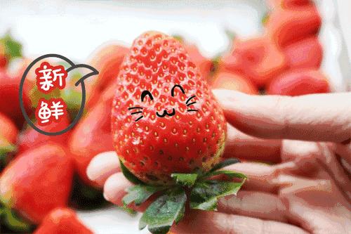 天目湖御湖半岛温泉酒店下午茶,天目湖御湖半岛温泉酒店