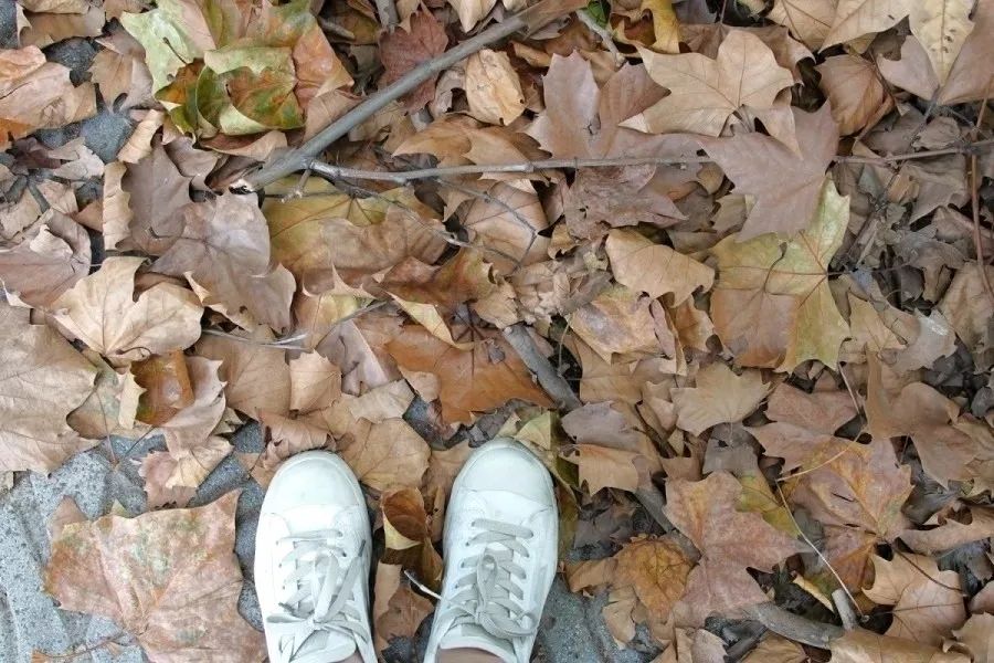 肖战无锡同款打卡,肖战美食重庆同款地点打卡攻略