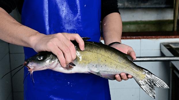鍚堢敓鎺㈢倝鐑ら奔鍥㈣喘,鎺㈢倝鐑ら奔鍥㈣喘鍚堢敓骞垮満