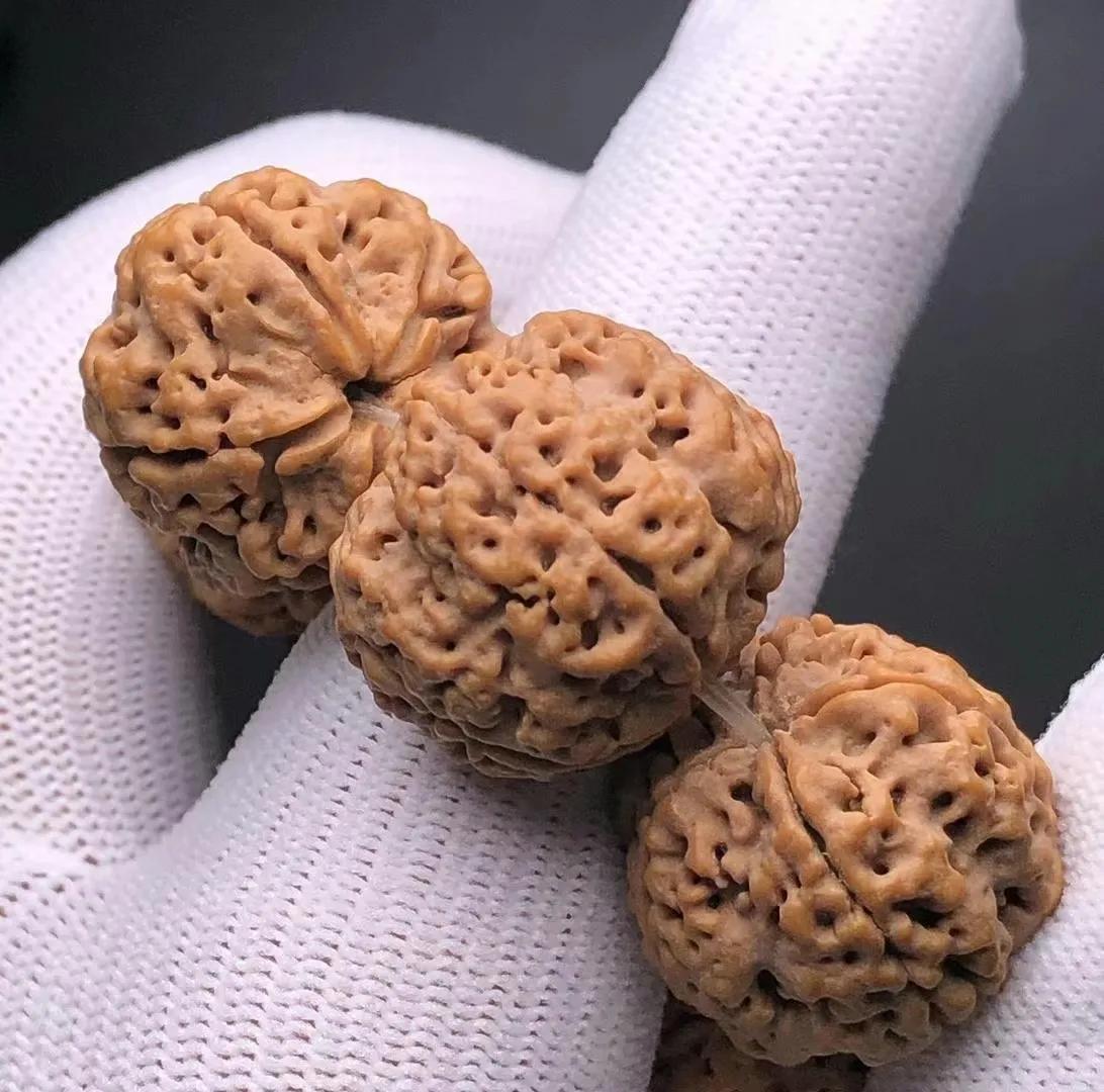 尼泊尔金刚杵 (尼泊尔金刚菩提)