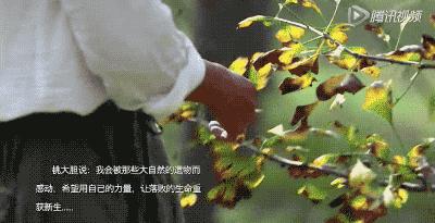 她31岁放弃北漂,回归自然,用枯枝败叶,打造了一个梦幻森林