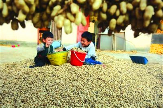 连云港有什么特产详细介绍,连云港特产豆丹最贵的时候多少钱