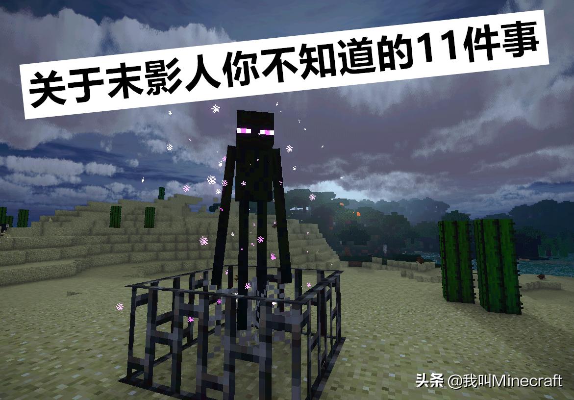 我的世界关于末影人的恐怖传说,我的世界末影人小黑图片