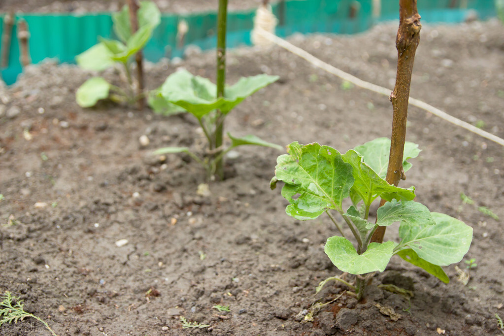 南阳商机加盟,南阳挣钱商机